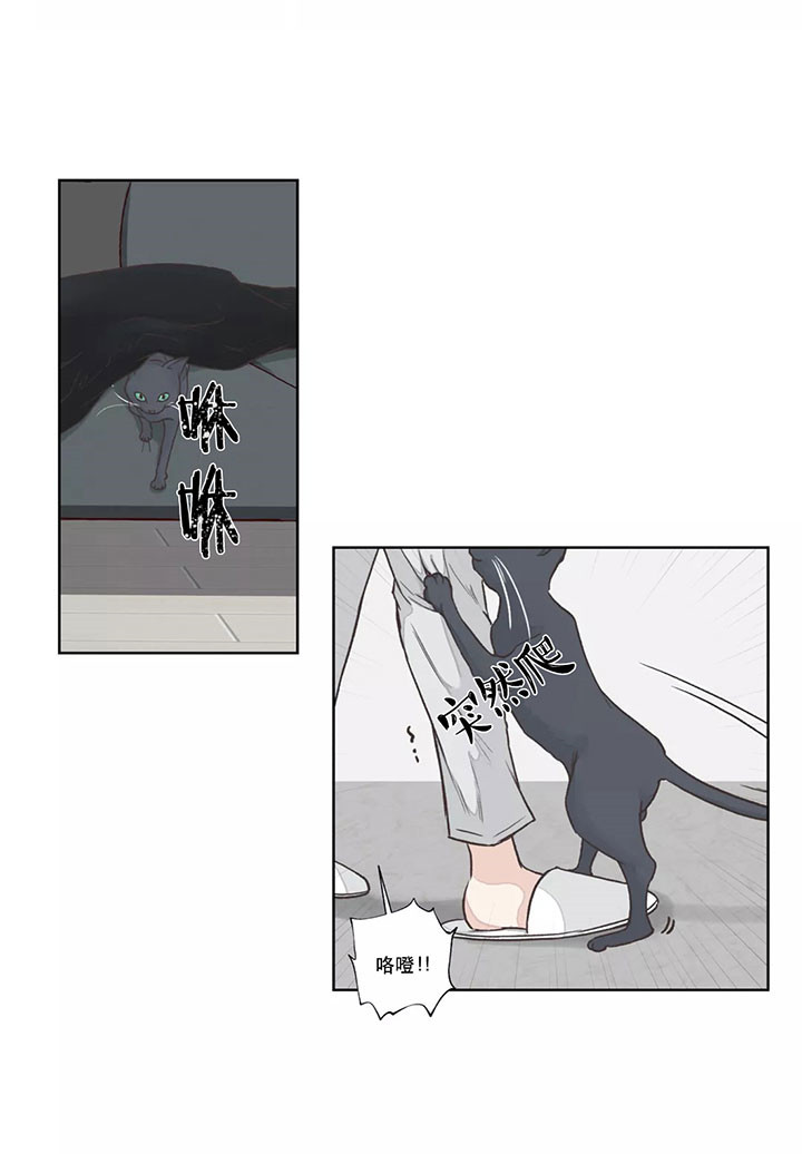 《水上歌者》漫画最新章节第6话 猫免费下拉式在线观看章节第【5】张图片