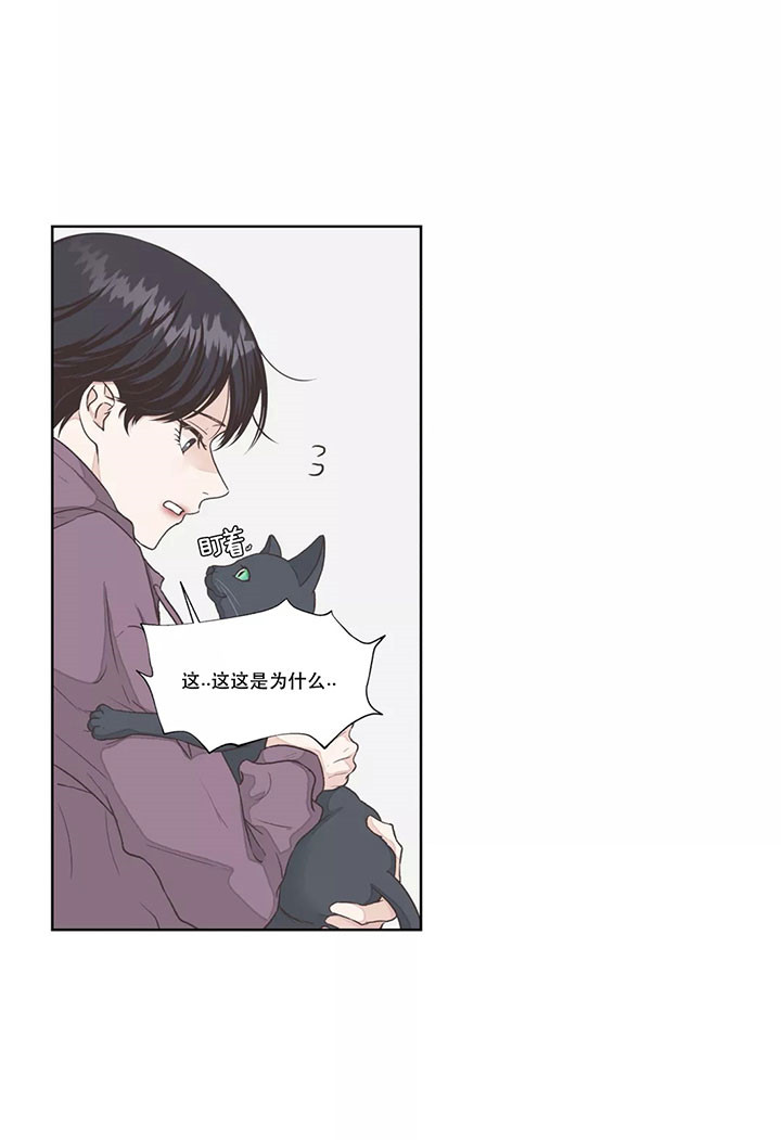 《水上歌者》漫画最新章节第6话 猫免费下拉式在线观看章节第【4】张图片