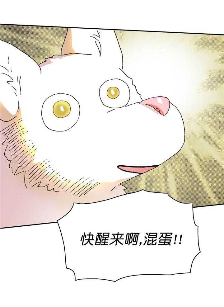 《半月书生》漫画最新章节第14话 混蛋快醒来免费下拉式在线观看章节第【1】张图片