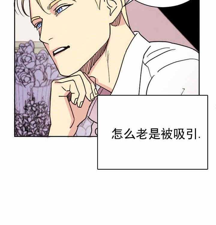 《亲爱的本杰明（第一季）》漫画最新章节第1话 被吸引免费下拉式在线观看章节第【17】张图片