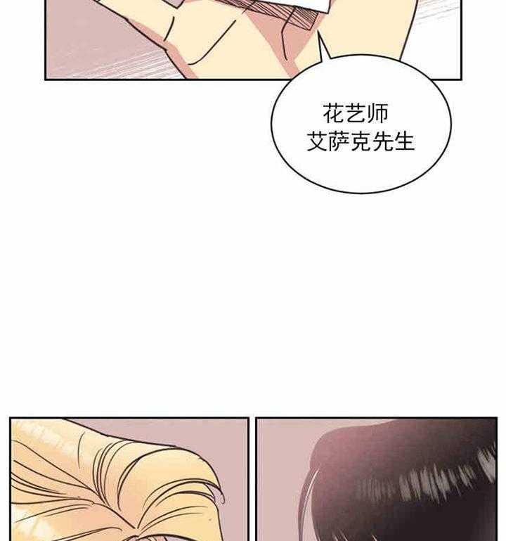 《亲爱的本杰明（第一季）》漫画最新章节第4话 花艺师艾萨克免费下拉式在线观看章节第【17】张图片