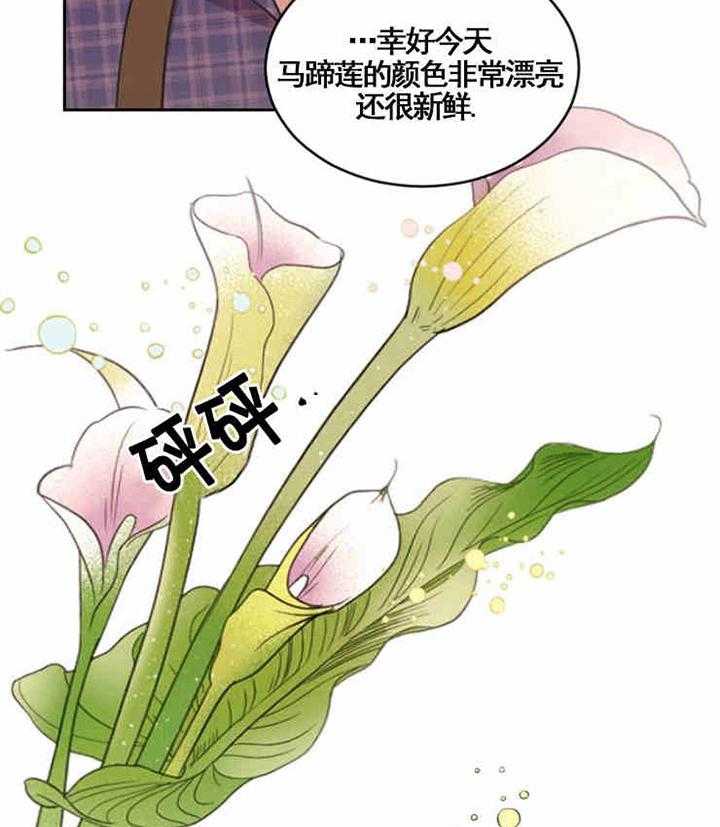 《亲爱的本杰明（第一季）》漫画最新章节第7话 对怀疑你感到抱歉免费下拉式在线观看章节第【2】张图片