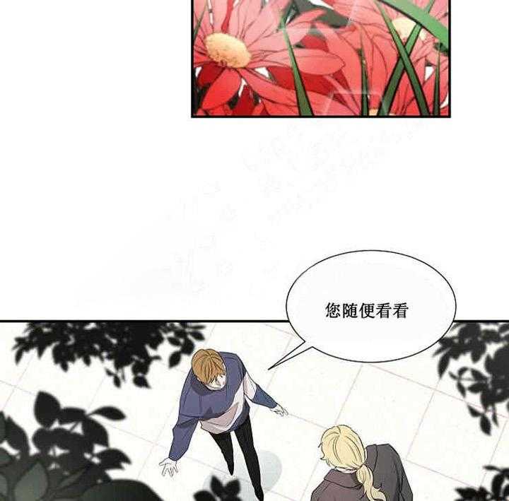 《限时心动》漫画最新章节第17话 宝石免费下拉式在线观看章节第【17】张图片