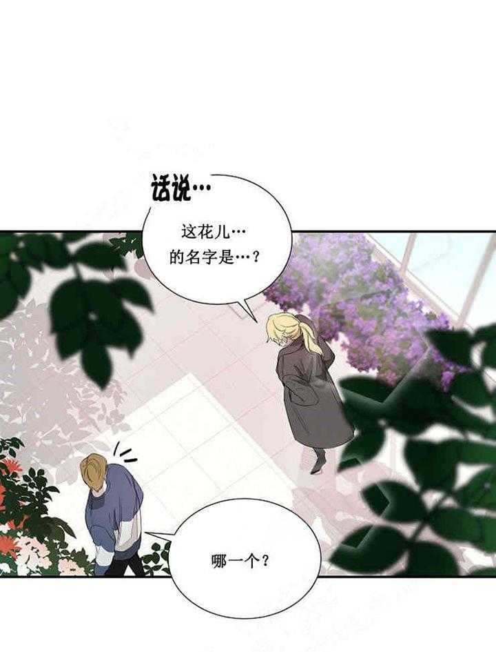 《限时心动》漫画最新章节第17话 宝石免费下拉式在线观看章节第【7】张图片