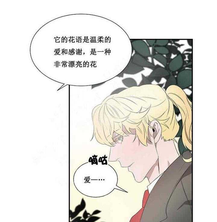 《限时心动》漫画最新章节第17话 宝石免费下拉式在线观看章节第【3】张图片