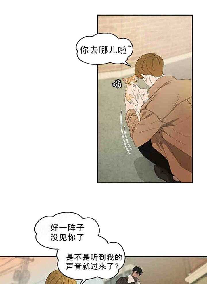 《限时心动》漫画最新章节第20话 别有不该有的好奇免费下拉式在线观看章节第【28】张图片