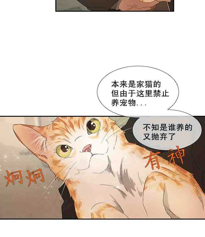 《限时心动》漫画最新章节第20话 别有不该有的好奇免费下拉式在线观看章节第【22】张图片