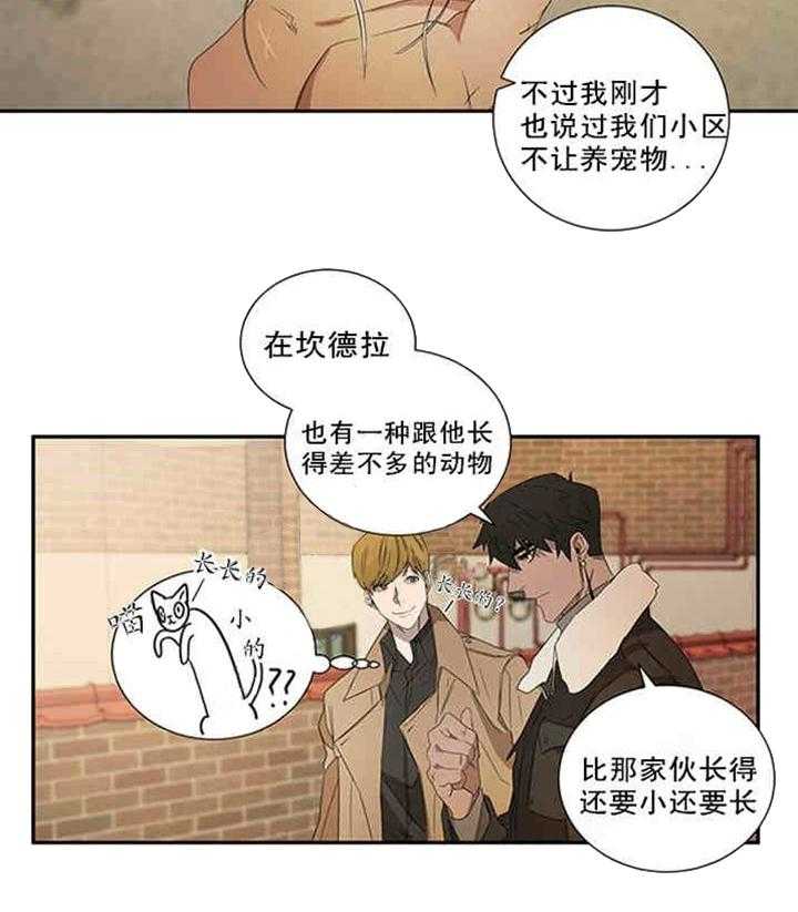 《限时心动》漫画最新章节第20话 别有不该有的好奇免费下拉式在线观看章节第【15】张图片