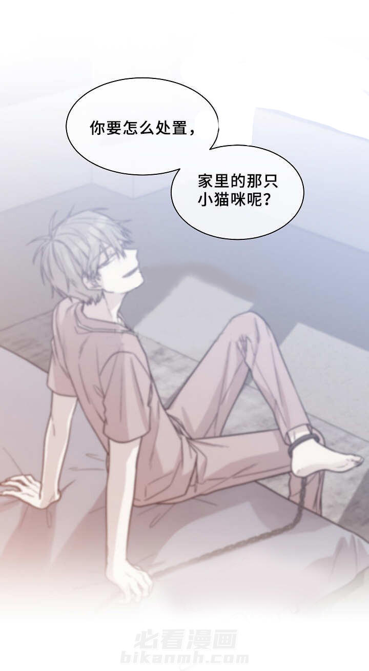 《圈套》漫画最新章节第20话 公私分明免费下拉式在线观看章节第【6】张图片