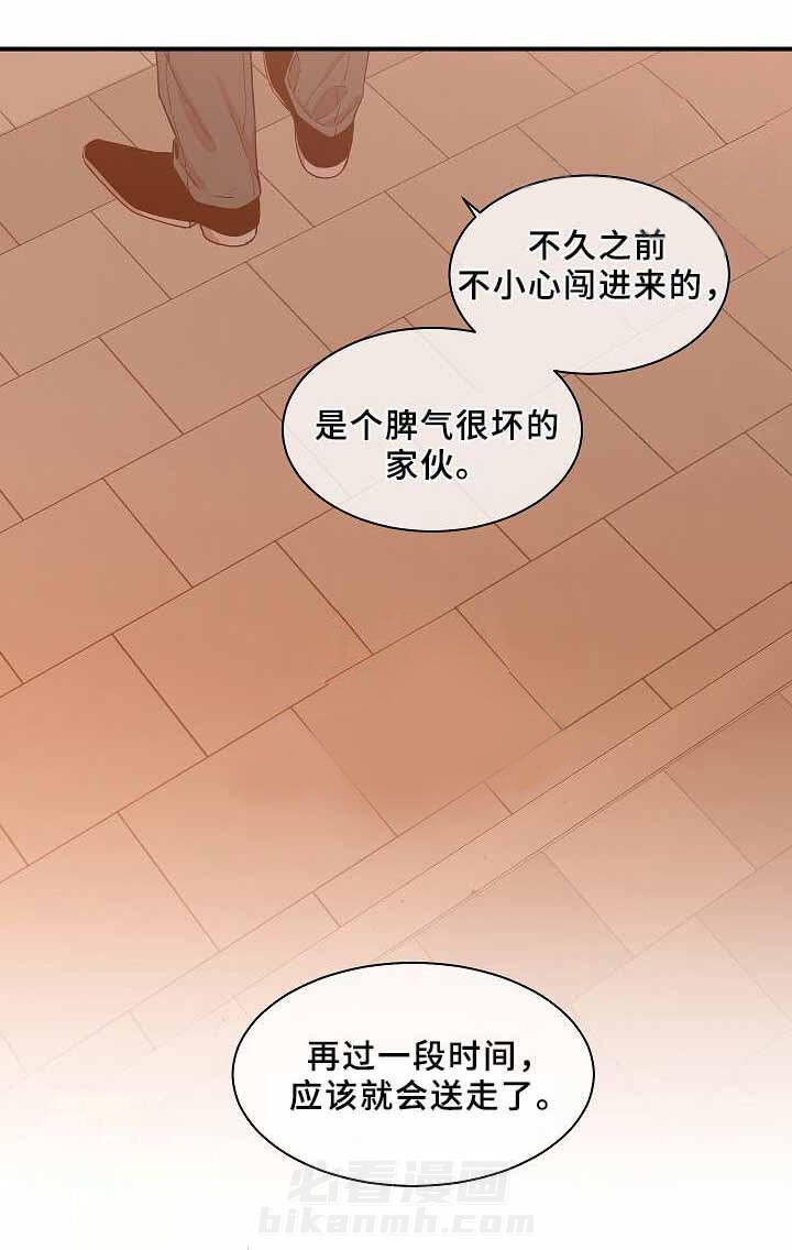 《圈套》漫画最新章节第23话 了解免费下拉式在线观看章节第【10】张图片