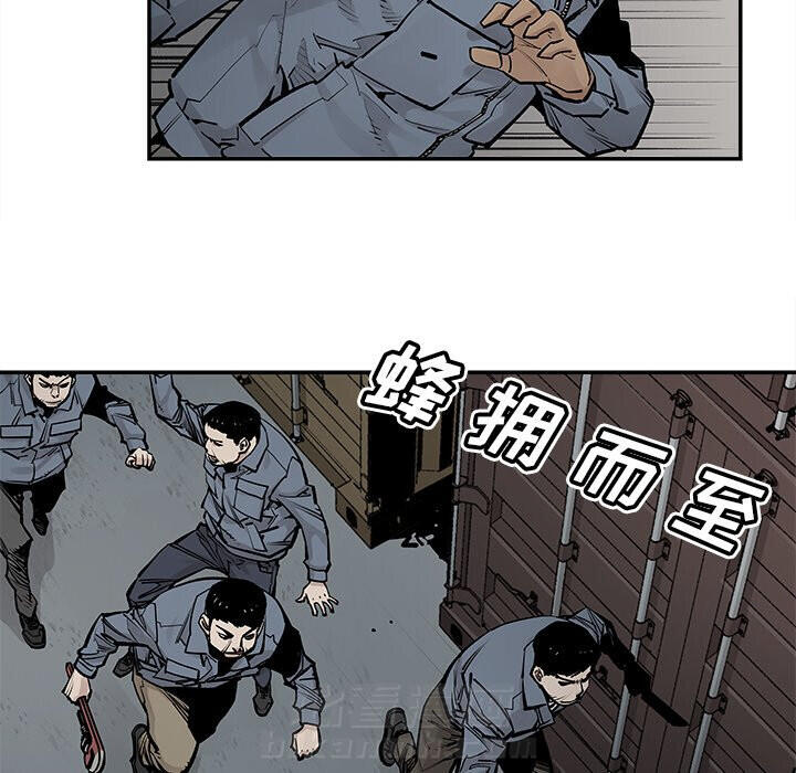 《清除计划》漫画最新章节第39话 39免费下拉式在线观看章节第【46】张图片