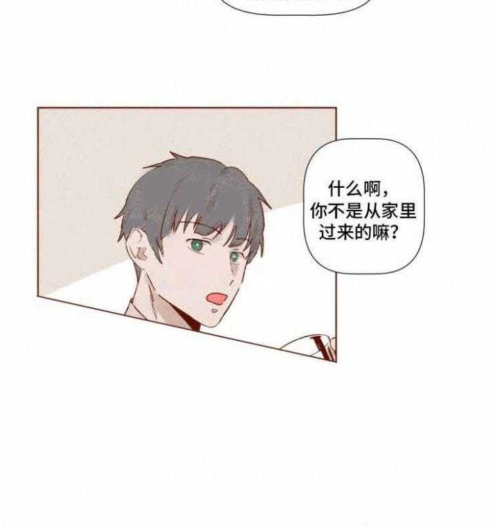 《老师，请给我奖励》漫画最新章节第19话 我放弃了免费下拉式在线观看章节第【10】张图片