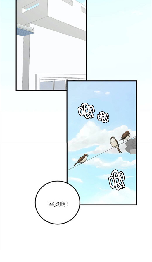 《复合的躯体》漫画最新章节第68话 永远守护你（终）免费下拉式在线观看章节第【13】张图片