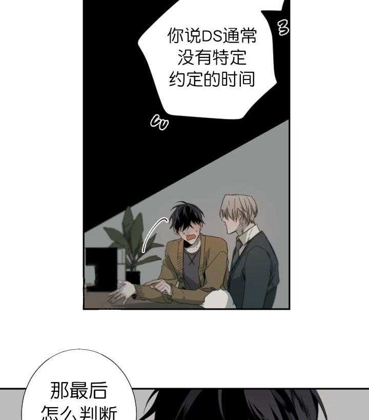 《臣服关系（共2季）》漫画最新章节第57话 臣服关系免费下拉式在线观看章节第【6】张图片