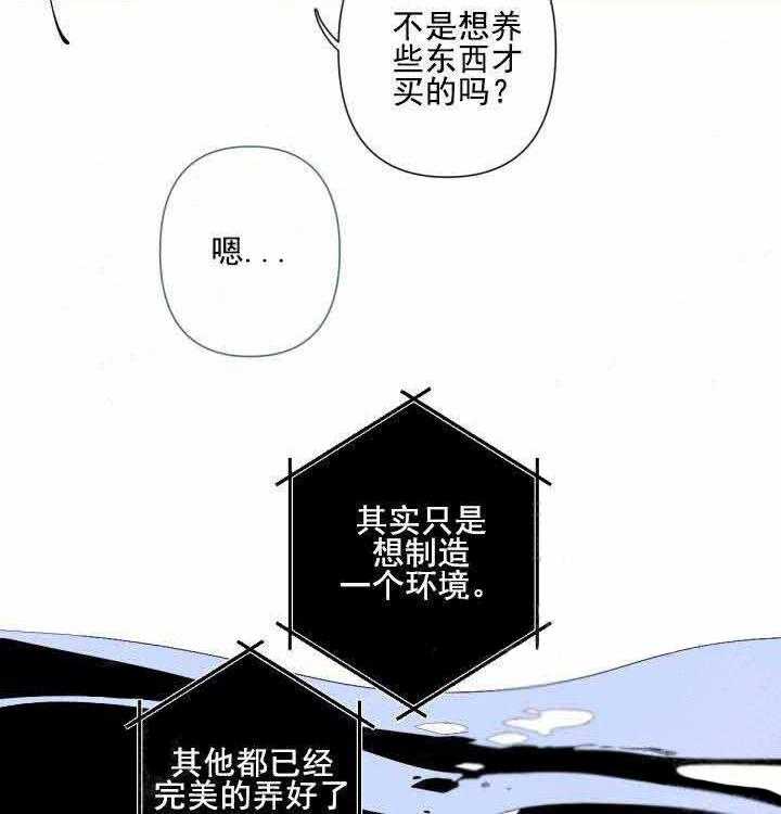 《臣服关系（共2季）》漫画最新章节第71话 71免费下拉式在线观看章节第【21】张图片