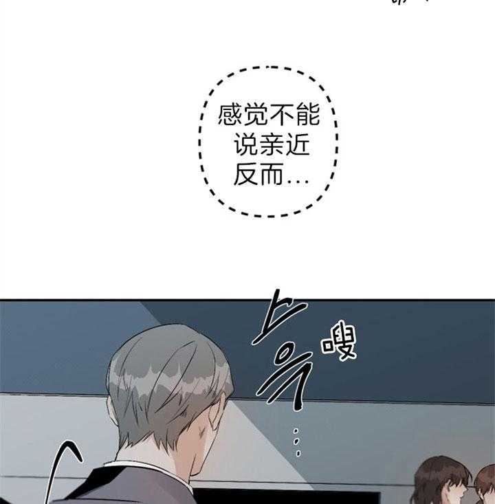 《臣服关系（共2季）》漫画最新章节第106话 想宣告主权免费下拉式在线观看章节第【14】张图片