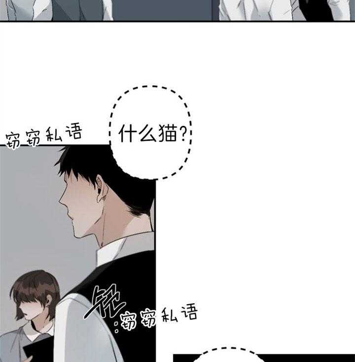 《臣服关系（共2季）》漫画最新章节第106话 想宣告主权免费下拉式在线观看章节第【16】张图片