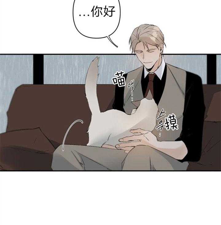 《臣服关系（共2季）》漫画最新章节第107话 不想白来免费下拉式在线观看章节第【31】张图片