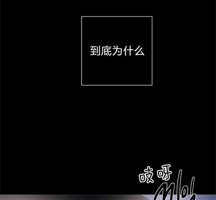 《臣服关系（共2季）》漫画最新章节第113话 不要陷入危险免费下拉式在线观看章节第【16】张图片