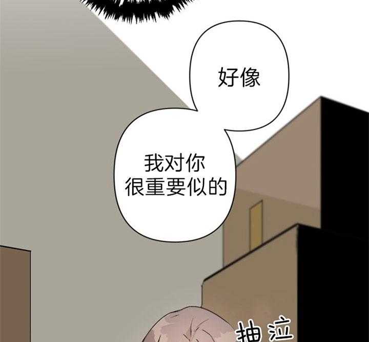 《臣服关系（共2季）》漫画最新章节第113话 不要陷入危险免费下拉式在线观看章节第【20】张图片