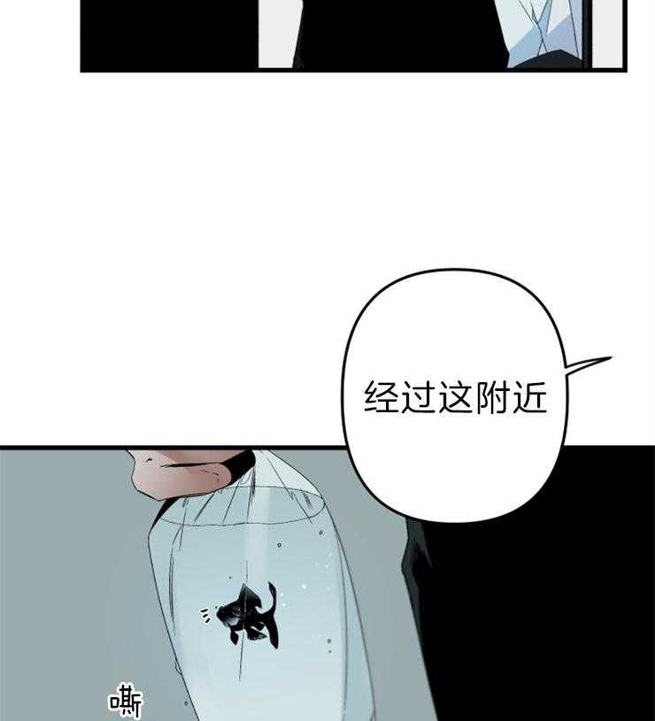 《臣服关系（共2季）》漫画最新章节第155话 动手吧 （第二季 完）免费下拉式在线观看章节第【28】张图片