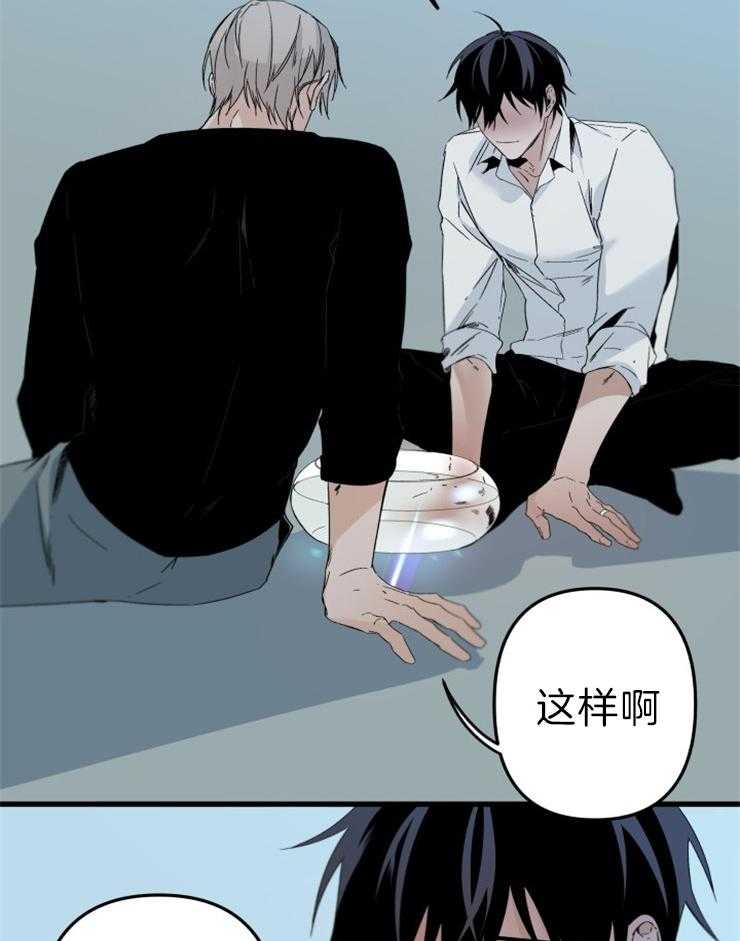 《臣服关系（共2季）》漫画最新章节第155话 动手吧 （第二季 完）免费下拉式在线观看章节第【24】张图片