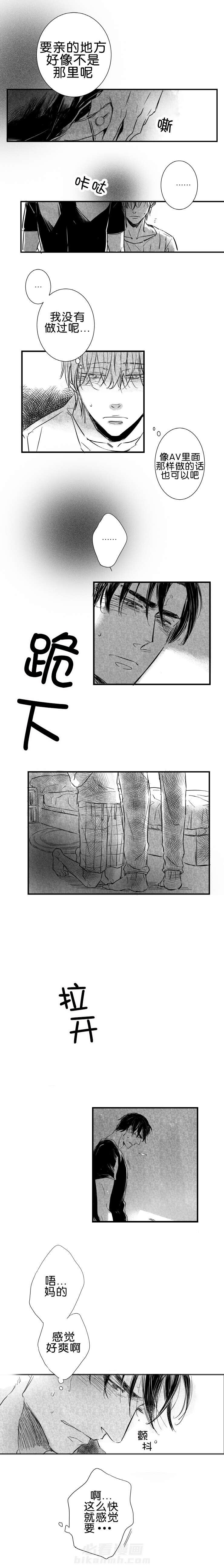 《如狼似犬（前传）》漫画最新章节第21话 实施免费下拉式在线观看章节第【2】张图片