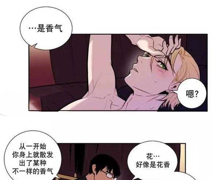 《爱上吸血鬼》漫画最新章节第31话 总有一天会把你免费下拉式在线观看章节第【19】张图片