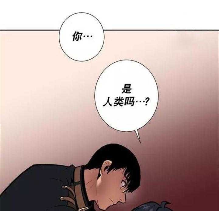 《爱上吸血鬼》漫画最新章节第37话 你到底是谁免费下拉式在线观看章节第【14】张图片