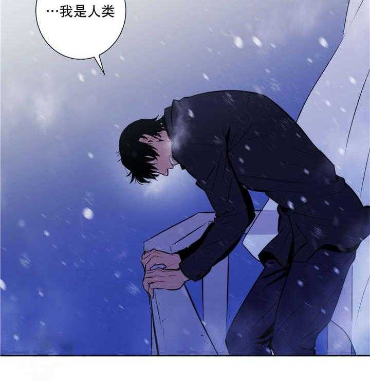 《爱上吸血鬼》漫画最新章节第51话 从未听说免费下拉式在线观看章节第【15】张图片