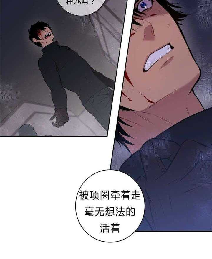 《爱上吸血鬼》漫画最新章节第96话 主谋免费下拉式在线观看章节第【10】张图片