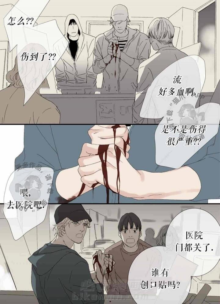 《野兽都该死》漫画最新章节第81话 一团乱麻免费下拉式在线观看章节第【15】张图片