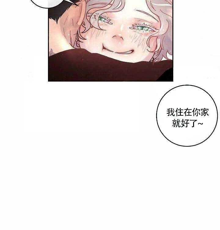 《勾引alpha的方法（全集）》漫画最新章节第74话 带来了免费下拉式在线观看章节第【11】张图片