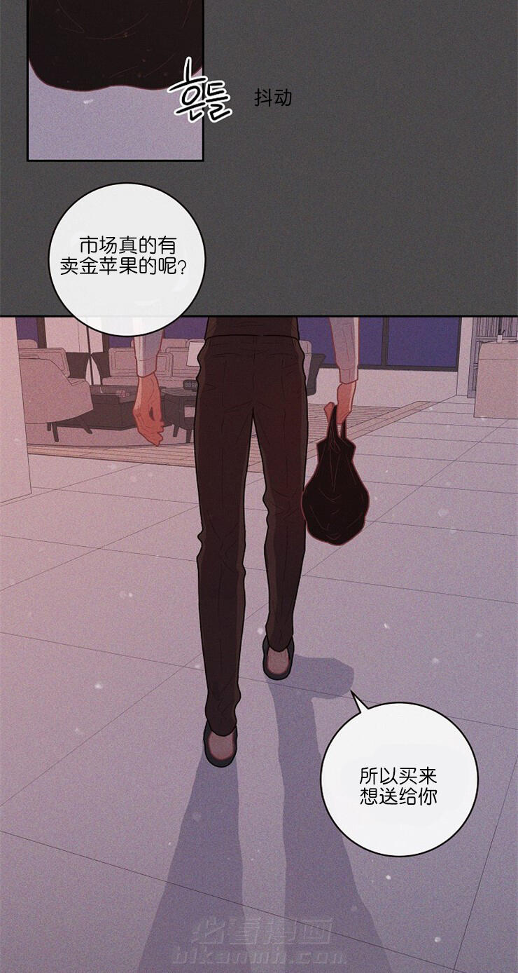 《勾引alpha的方法（全集）》漫画最新章节第114话 景洙的噩梦免费下拉式在线观看章节第【11】张图片