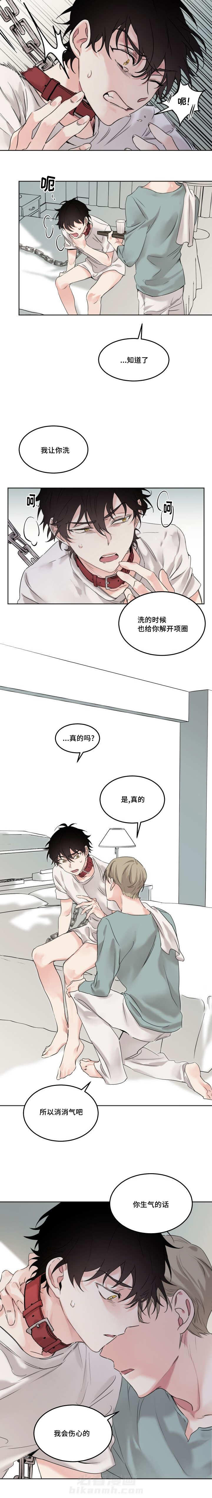 《猫的项圈》漫画最新章节第7话 都要洗免费下拉式在线观看章节第【6】张图片