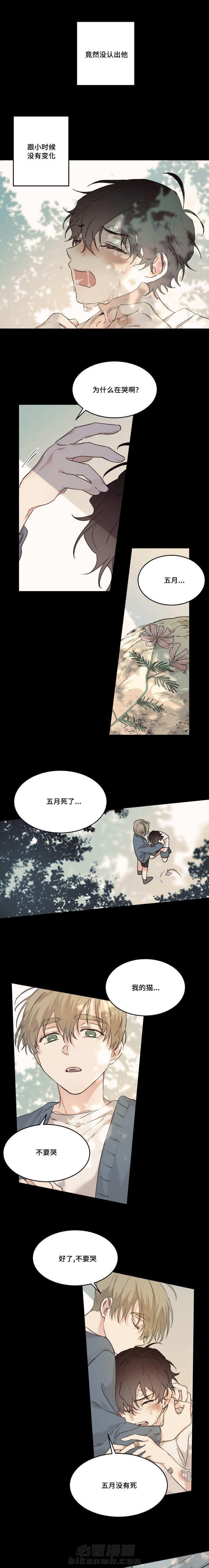 《猫的项圈》漫画最新章节第16话 想起来了免费下拉式在线观看章节第【2】张图片