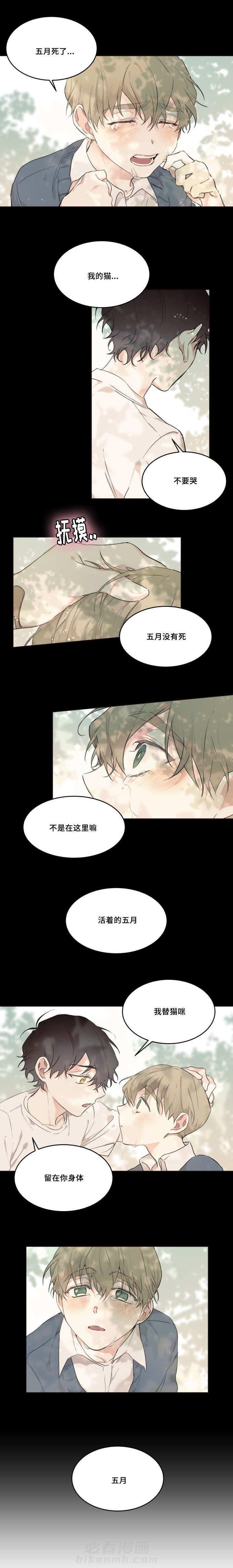 《猫的项圈》漫画最新章节第21话 我很开心免费下拉式在线观看章节第【2】张图片