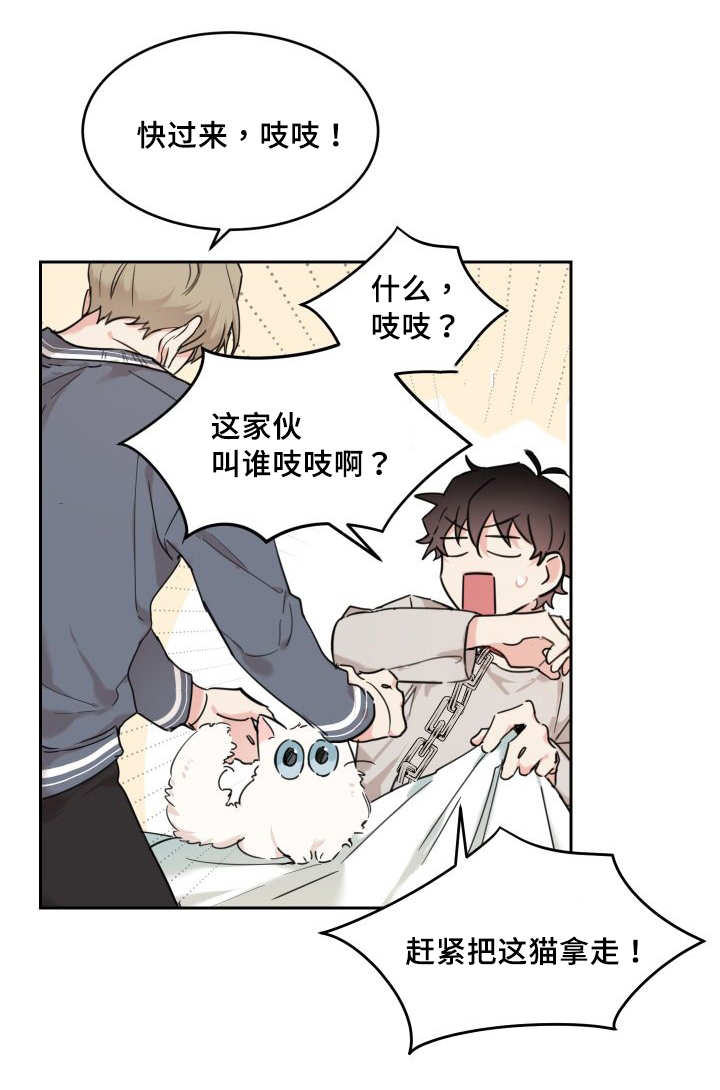 《猫的项圈》漫画最新章节第25话 新的猫咪免费下拉式在线观看章节第【20】张图片