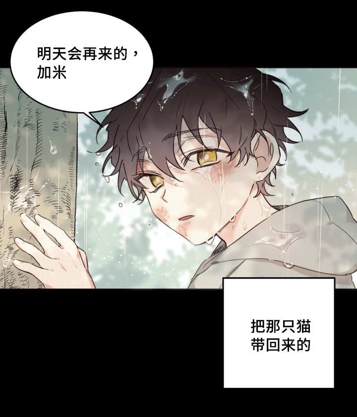 《猫的项圈》漫画最新章节第25话 新的猫咪免费下拉式在线观看章节第【25】张图片