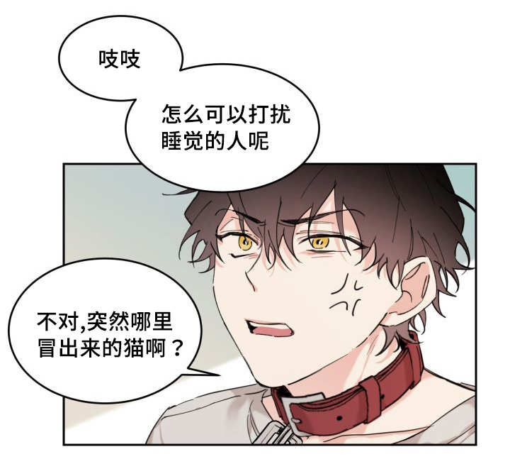 《猫的项圈》漫画最新章节第25话 新的猫咪免费下拉式在线观看章节第【18】张图片