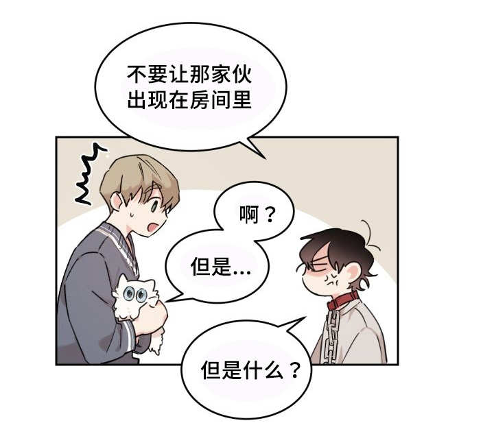 《猫的项圈》漫画最新章节第25话 新的猫咪免费下拉式在线观看章节第【10】张图片