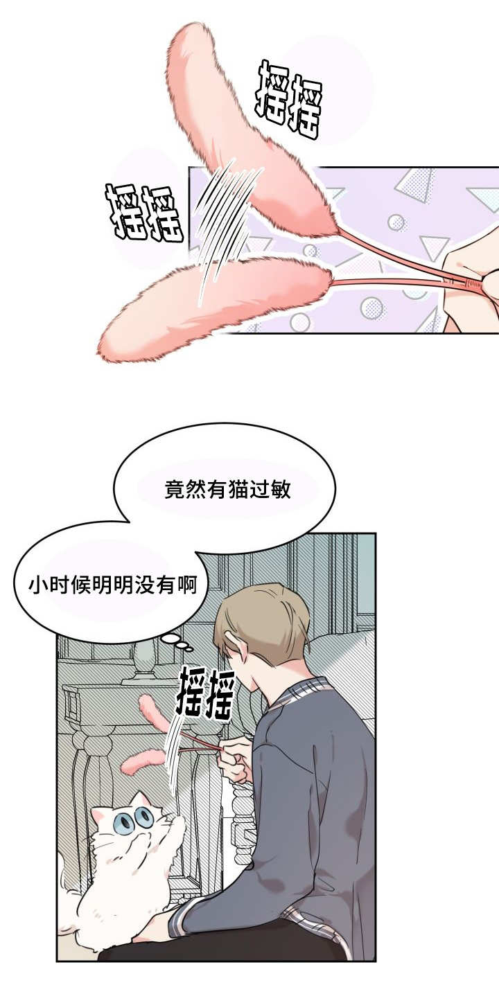 《猫的项圈》漫画最新章节第25话 新的猫咪免费下拉式在线观看章节第【5】张图片