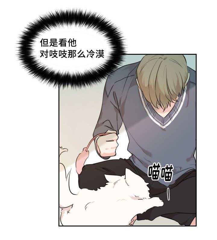 《猫的项圈》漫画最新章节第25话 新的猫咪免费下拉式在线观看章节第【2】张图片