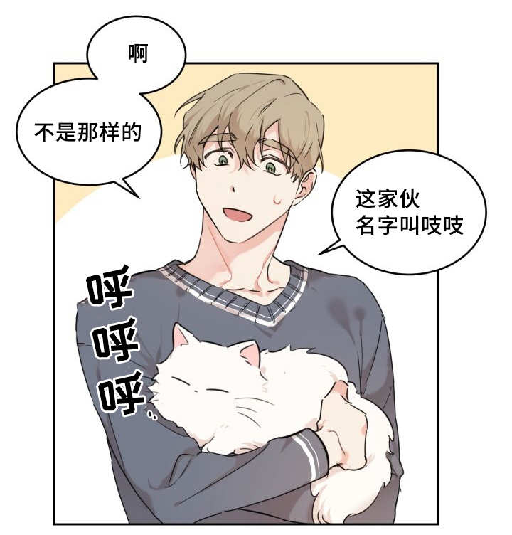 《猫的项圈》漫画最新章节第25话 新的猫咪免费下拉式在线观看章节第【19】张图片