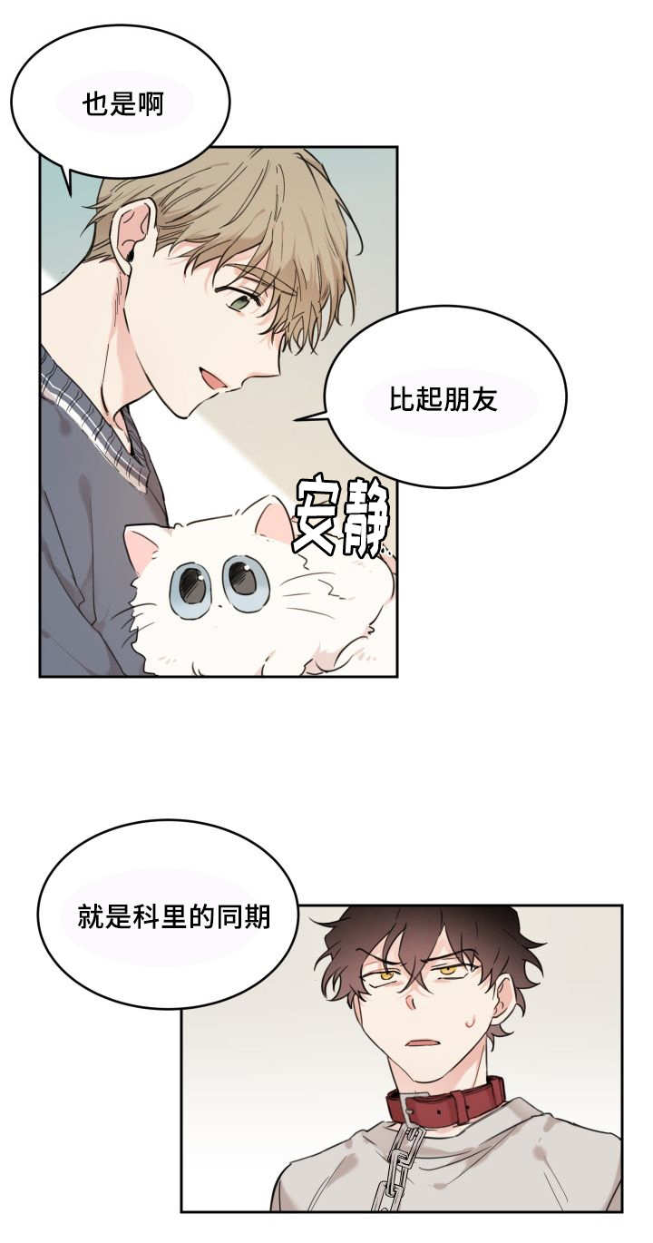 《猫的项圈》漫画最新章节第25话 新的猫咪免费下拉式在线观看章节第【15】张图片