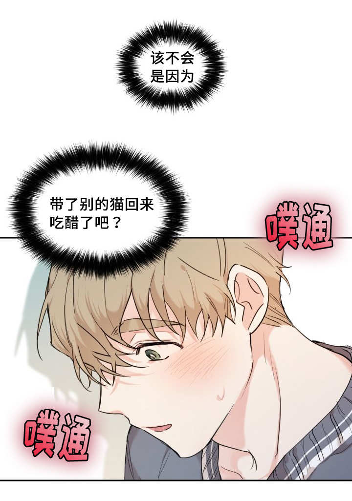 《猫的项圈》漫画最新章节第25话 新的猫咪免费下拉式在线观看章节第【1】张图片