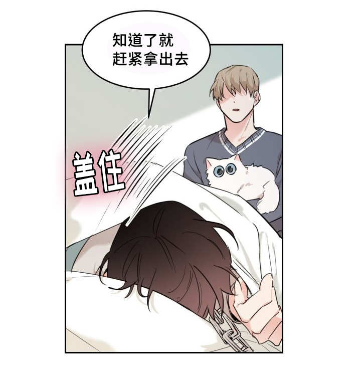 《猫的项圈》漫画最新章节第25话 新的猫咪免费下拉式在线观看章节第【7】张图片