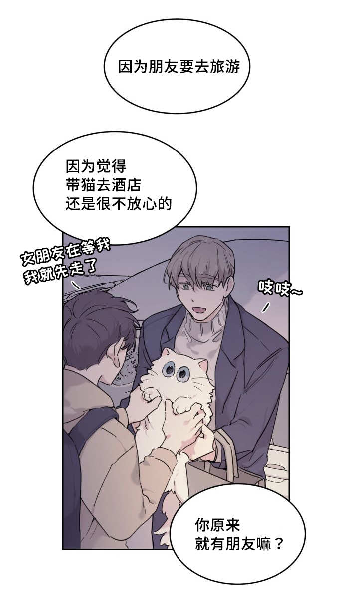 《猫的项圈》漫画最新章节第25话 新的猫咪免费下拉式在线观看章节第【16】张图片