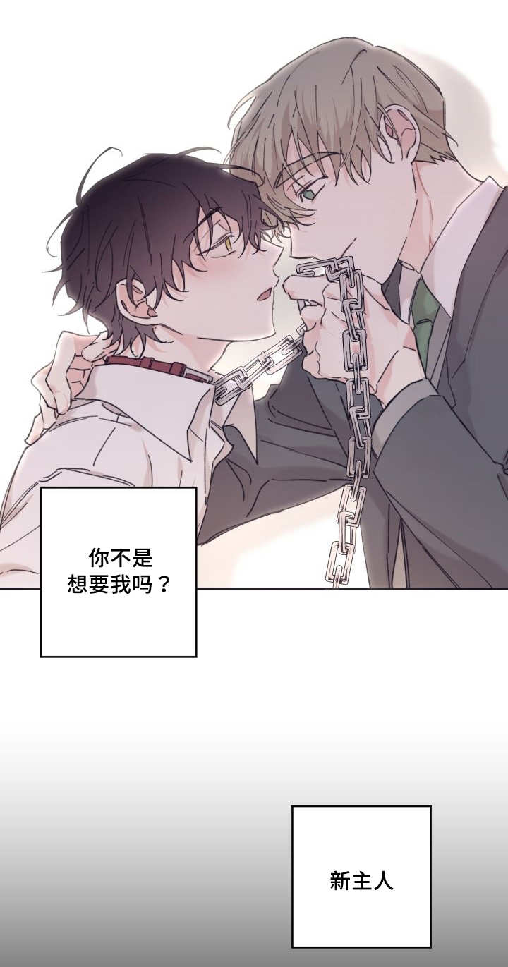 《猫的项圈》漫画最新章节第29话 爱情的原因免费下拉式在线观看章节第【24】张图片