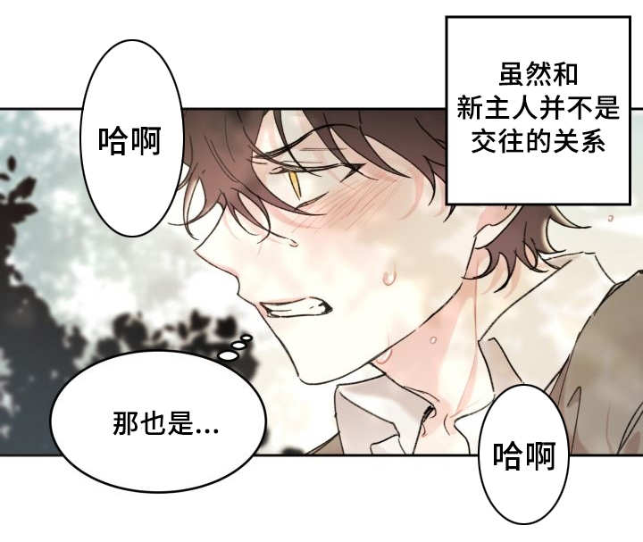 《猫的项圈》漫画最新章节第31话 搞错了什么免费下拉式在线观看章节第【28】张图片